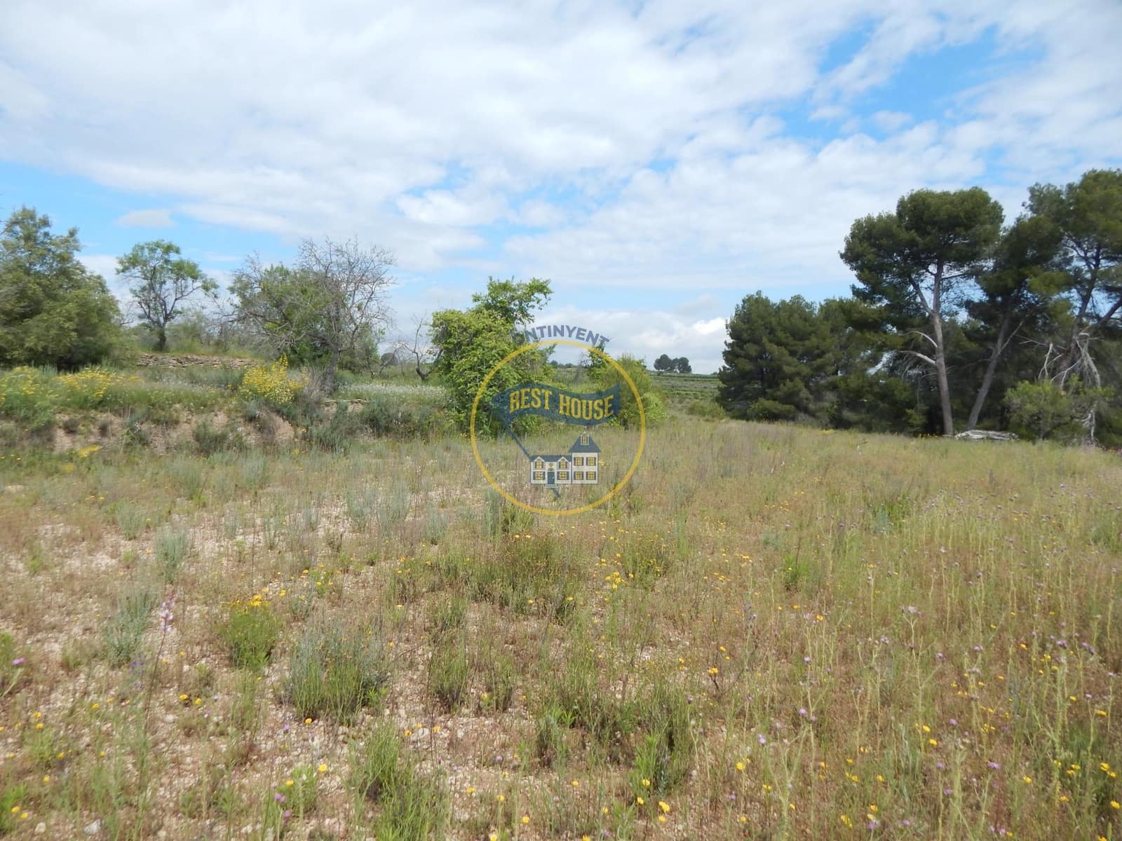 Ubebygd land til salgs i Belgida - € 28 000 (Ref: 8979488)