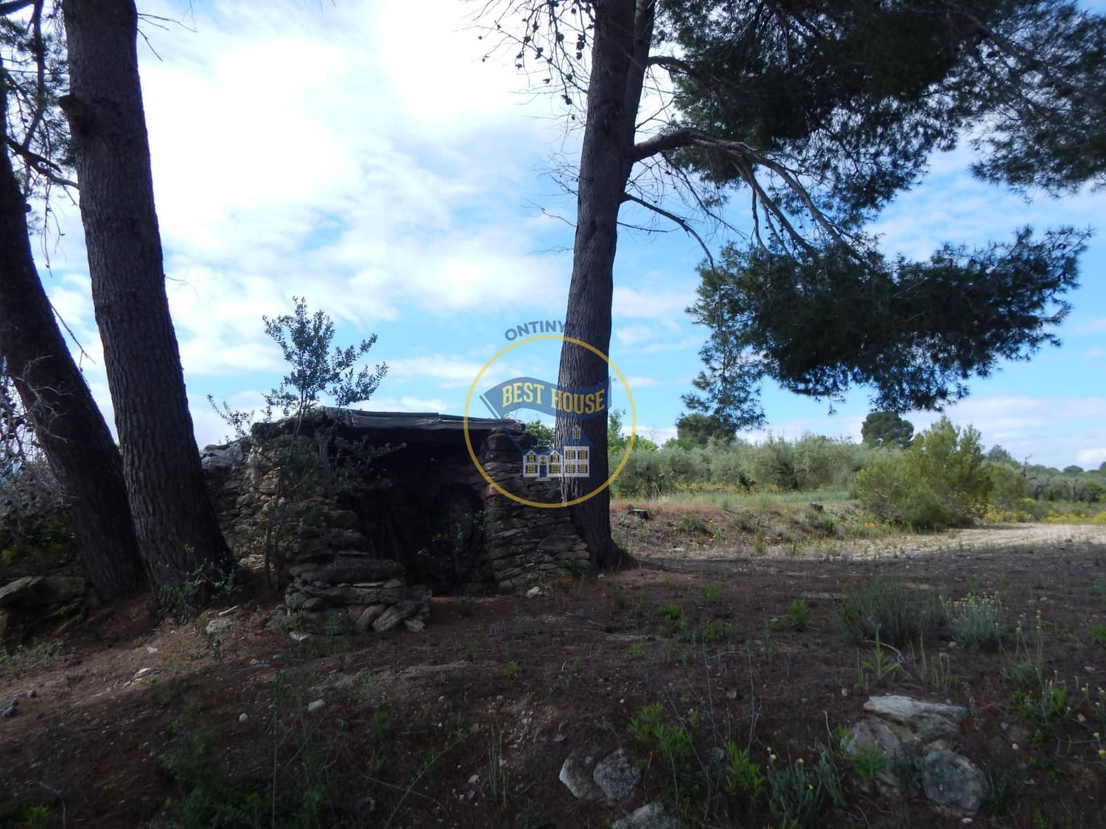 Ubebygd land til salgs i Belgida - € 28 000 (Ref: 8979488)