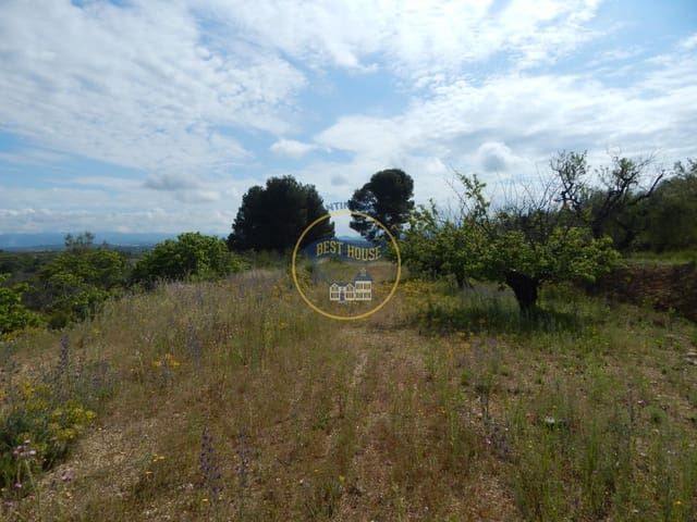 Mark till salu i Bèlgida - 28 000 € (Ref: 8979488)