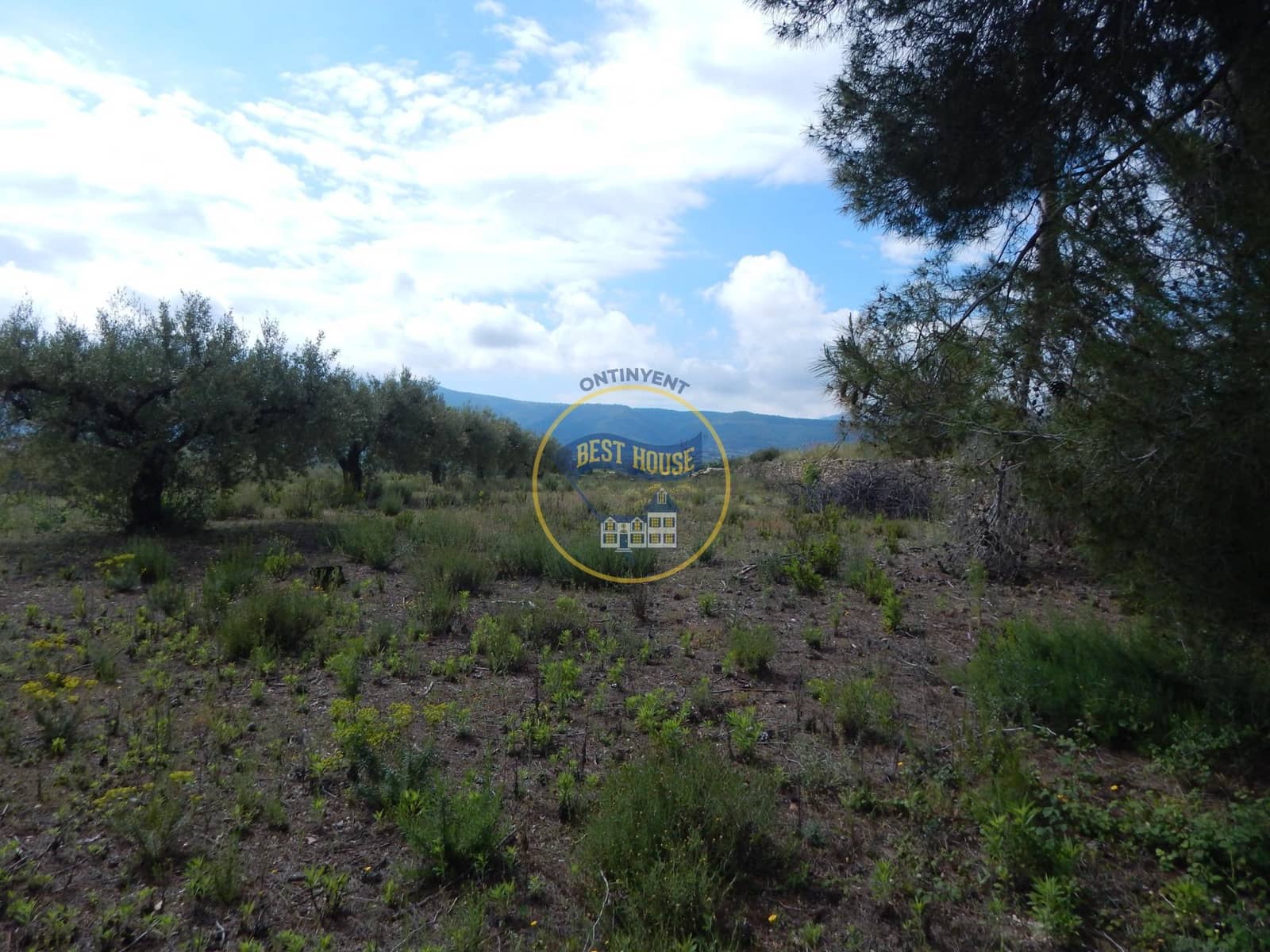 Ubebygd land til salgs i Belgida - € 28 000 (Ref: 8979488)