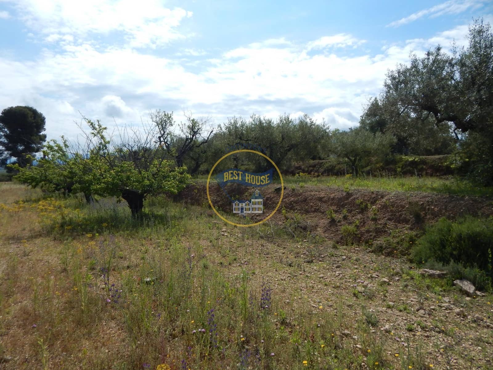 Ubebygd land til salgs i Belgida - € 28 000 (Ref: 8979488)