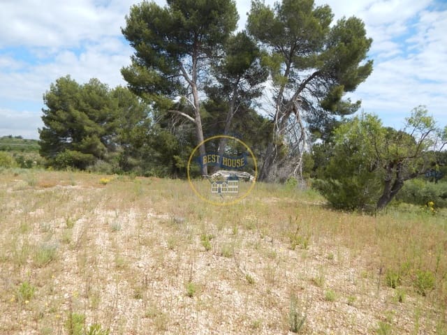 Mark till salu i Bèlgida - 28 000 € (Ref: 8979488)