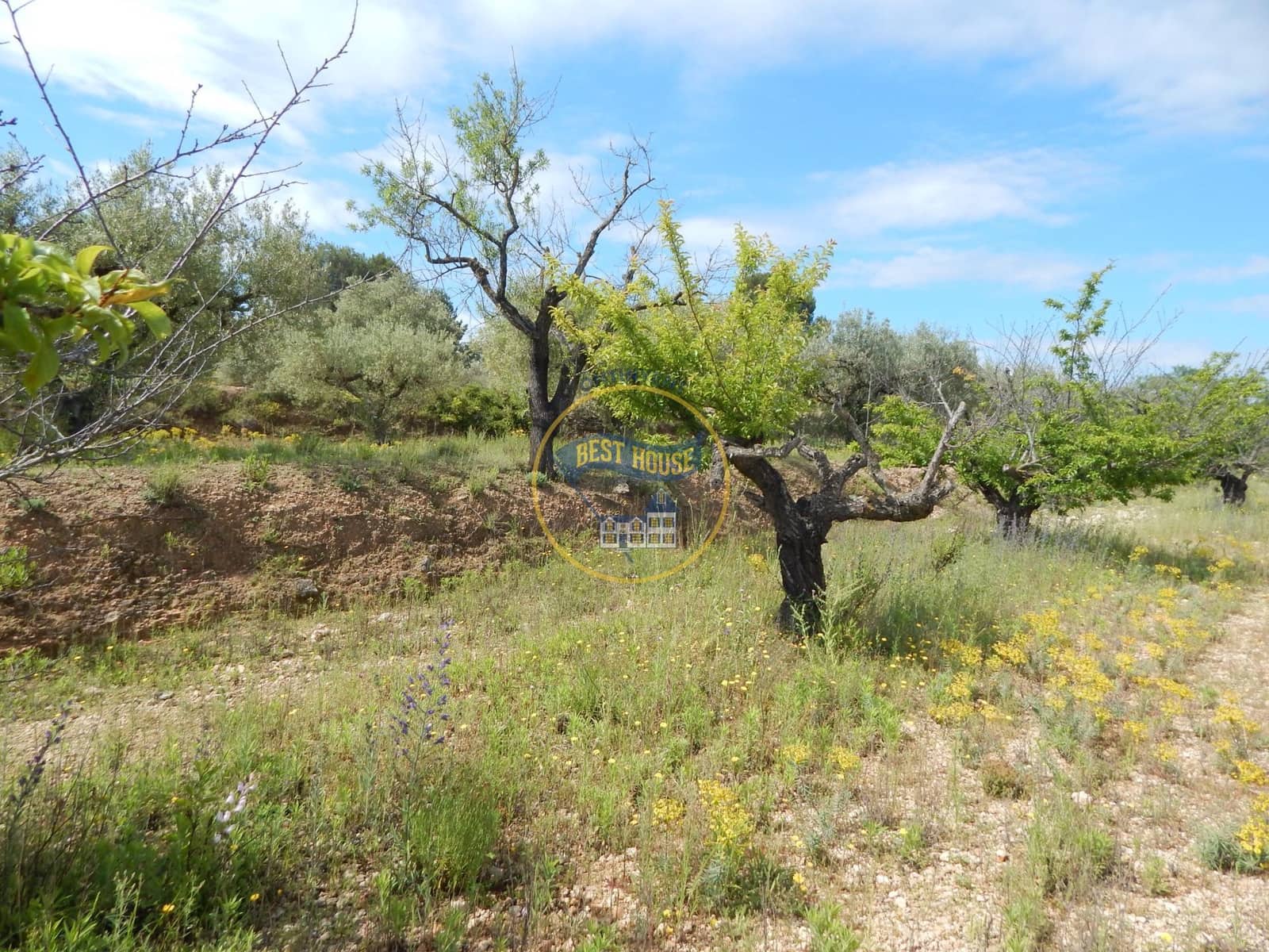 Ubebygd land til salgs i Belgida - € 28 000 (Ref: 8979488)