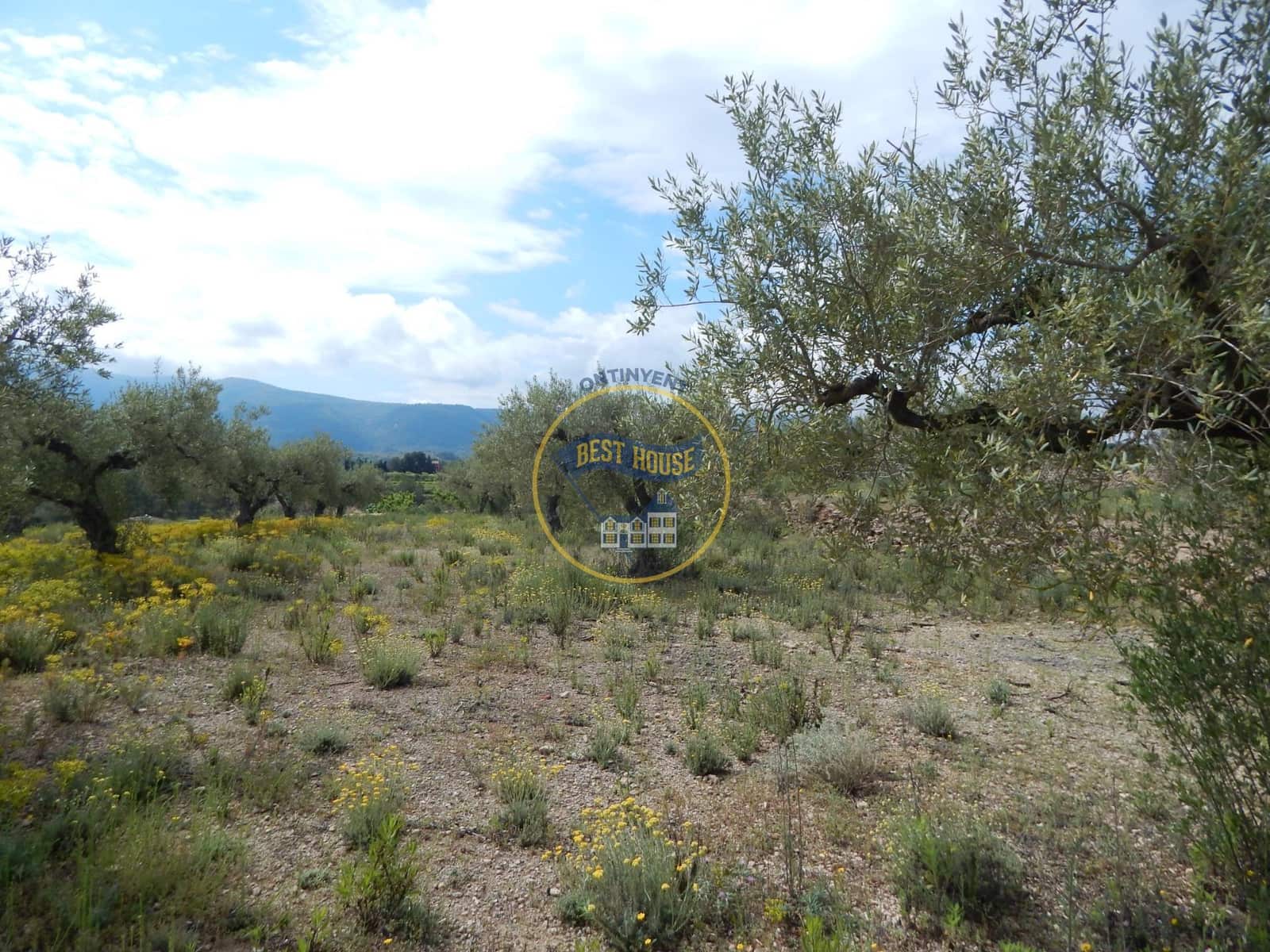 Ubebygd land til salgs i Belgida - € 28 000 (Ref: 8979488)