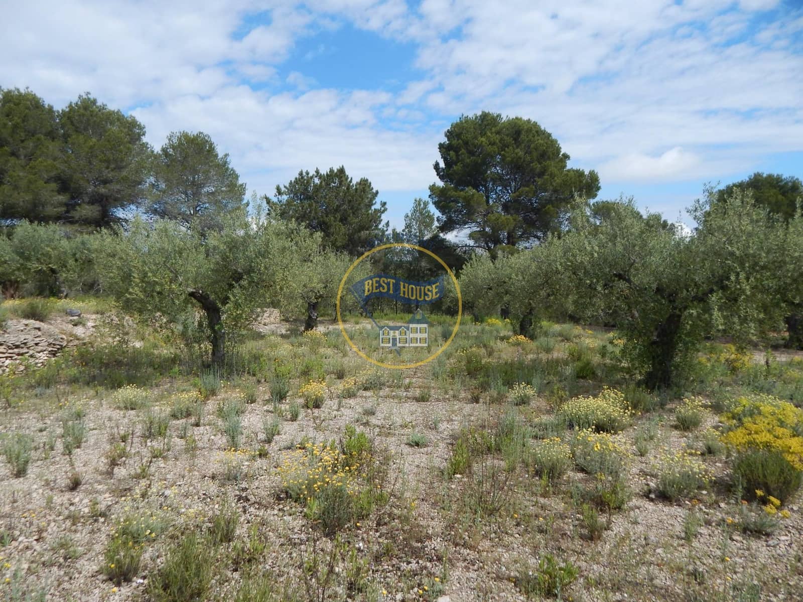 Ubebygd land til salgs i Belgida - € 28 000 (Ref: 8979488)