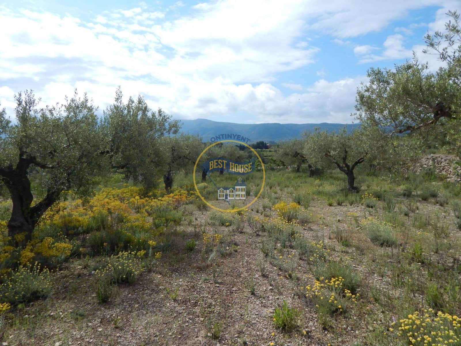 Ubebygd land til salgs i Belgida - € 28 000 (Ref: 8979488)