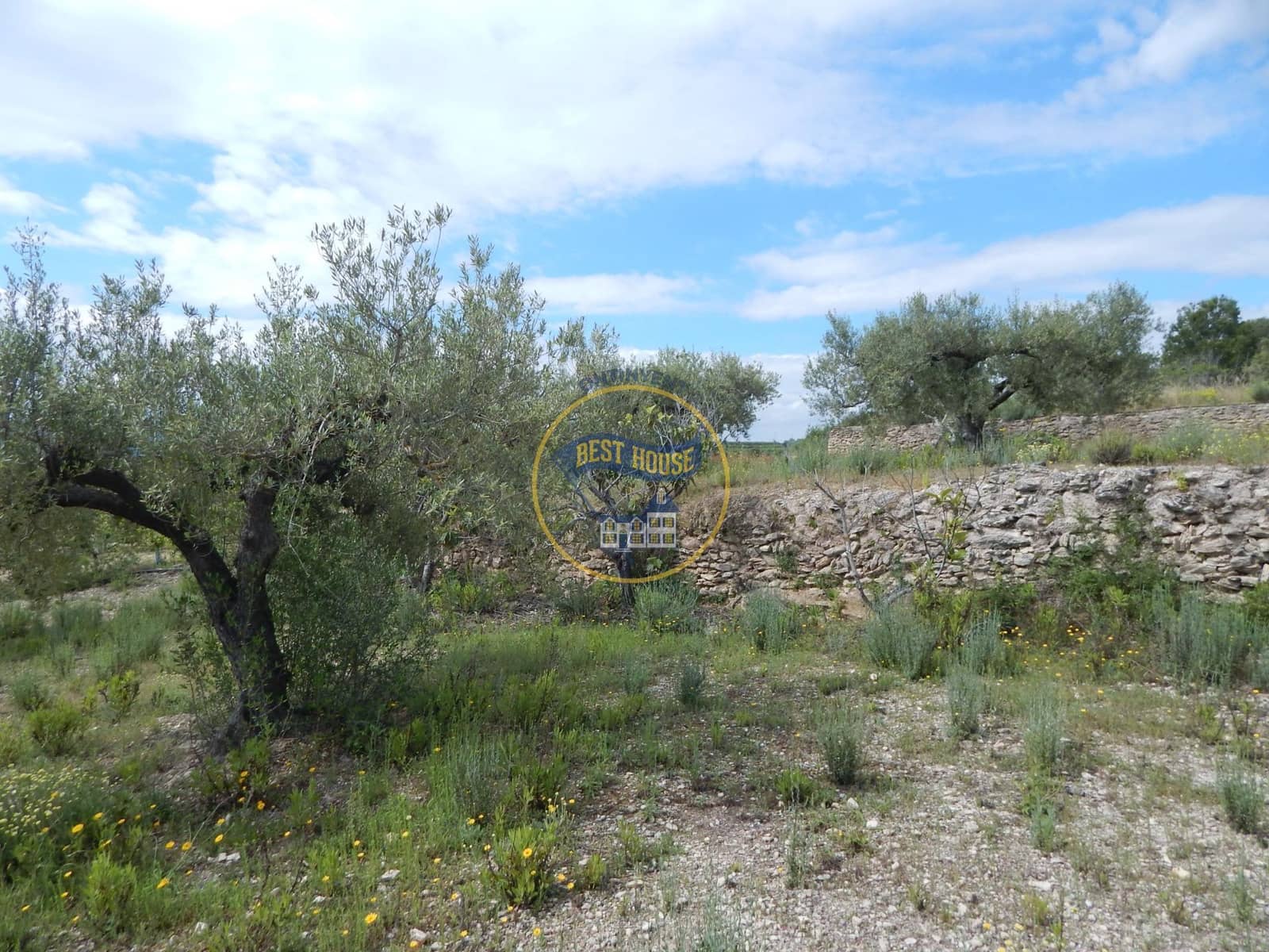 Ubebygd land til salgs i Belgida - € 28 000 (Ref: 8979488)