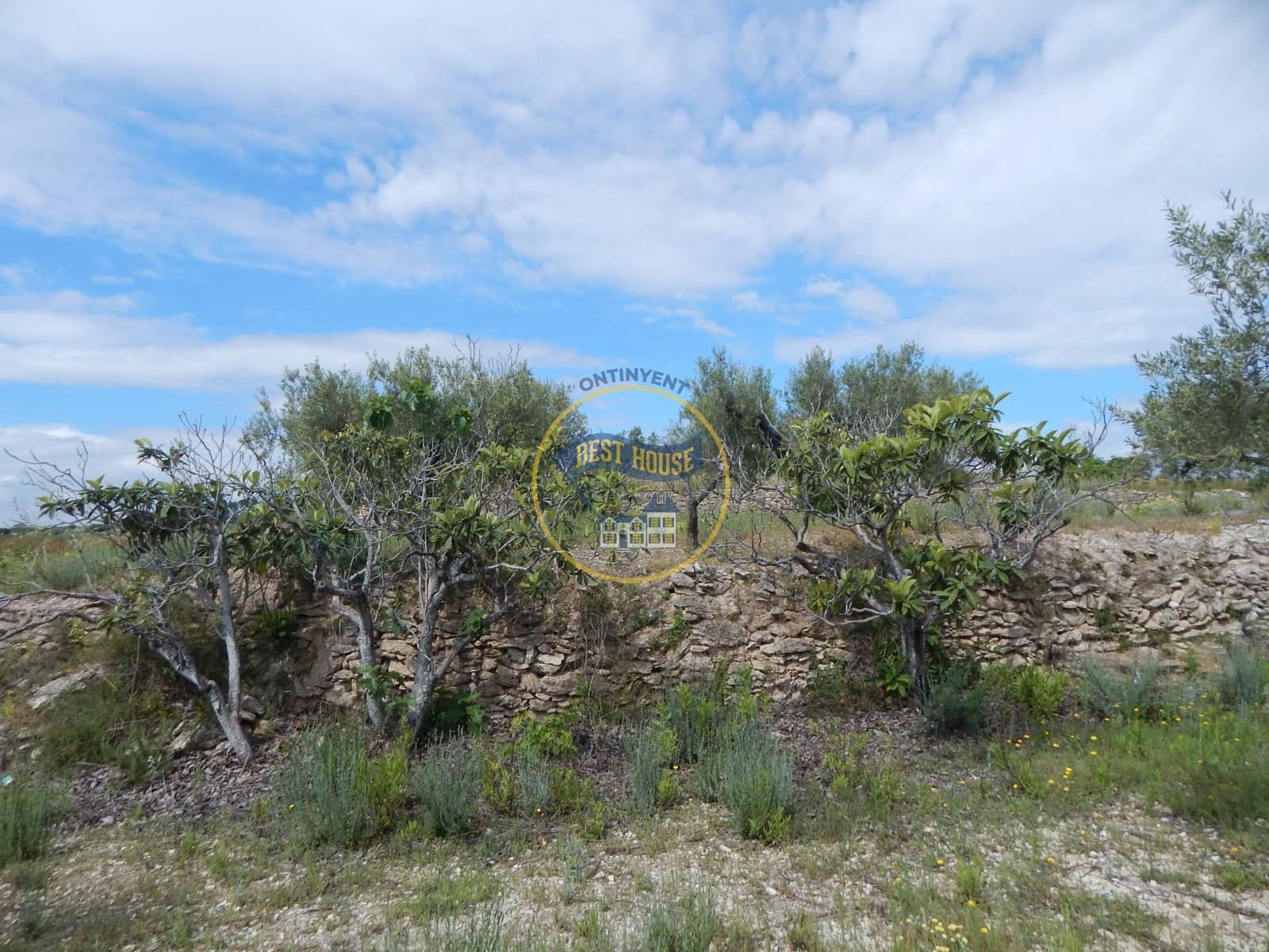 Ubebygd land til salgs i Belgida - € 28 000 (Ref: 8979488)