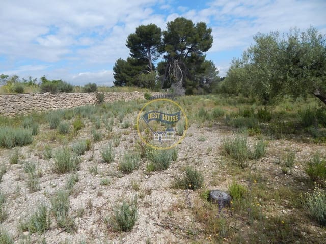 Mark till salu i Bèlgida - 28 000 € (Ref: 8979488)