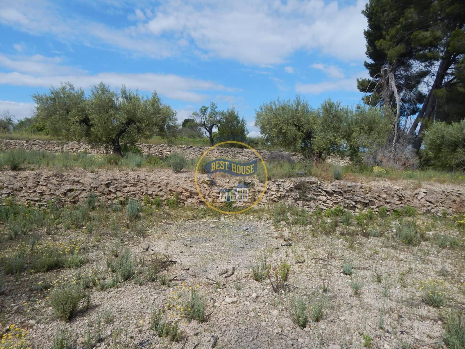 Ubebygd land til salgs i Belgida - € 28 000 (Ref: 8979488)