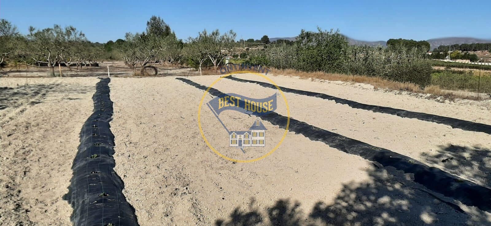 3 soveværelse Finca/Landehus til salg i Albaida med swimmingpool - € 110.000 (Ref: 9143134)