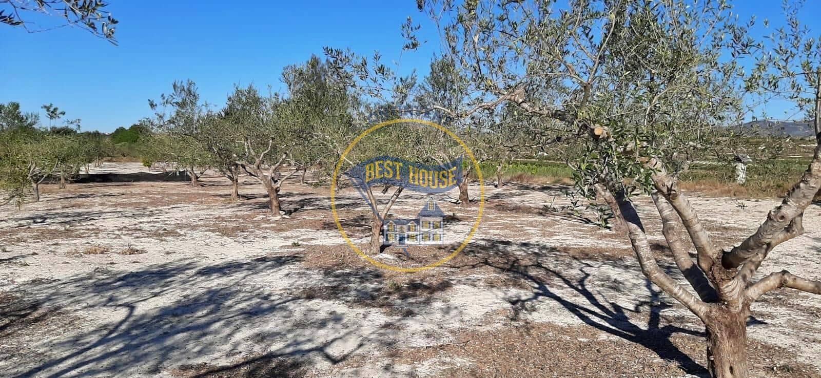 3 soveværelse Finca/Landehus til salg i Albaida med swimmingpool - € 110.000 (Ref: 9143134)