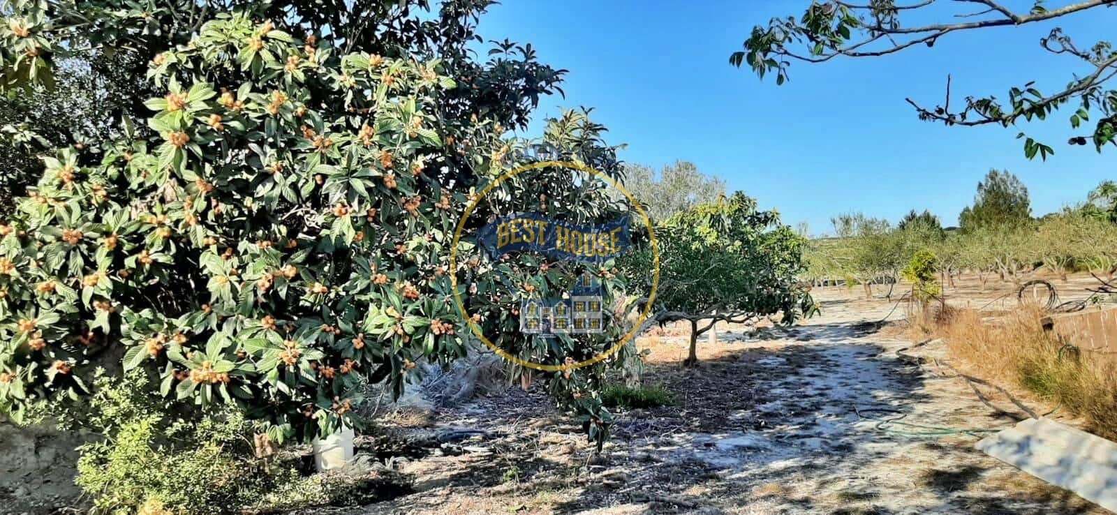 3 soveværelse Finca/Landehus til salg i Albaida med swimmingpool - € 110.000 (Ref: 9143134)