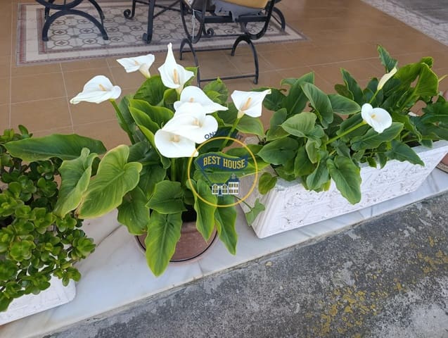 Chalet de 5 habitaciones en Ontinyent en venta con piscina garaje - 600.000 € (Ref: 9474792)