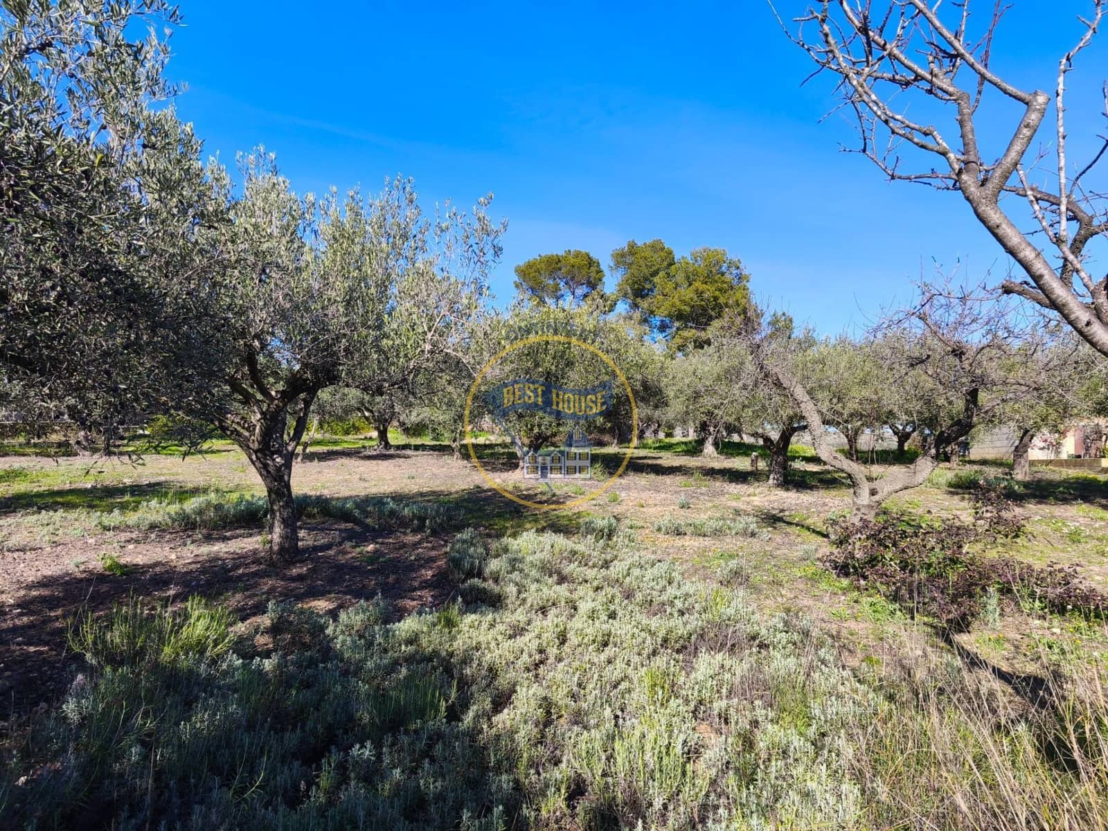 3 bedroom Finca/Country House for sale in Ontinyent - € 60,000 (Ref: 9513577)