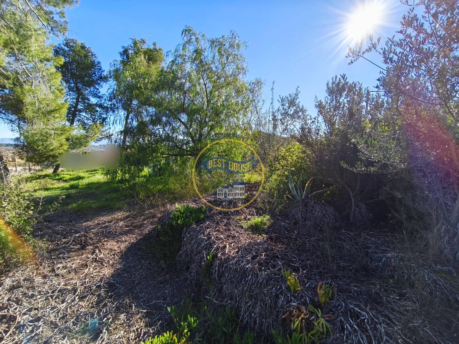 3 bedroom Finca/Country House for sale in Ontinyent - € 60,000 (Ref: 9513577)