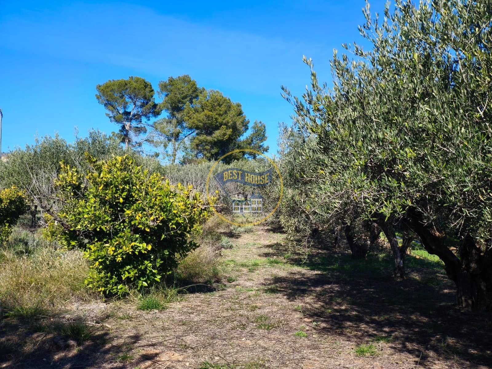 3 bedroom Finca/Country House for sale in Ontinyent - € 60,000 (Ref: 9513577)