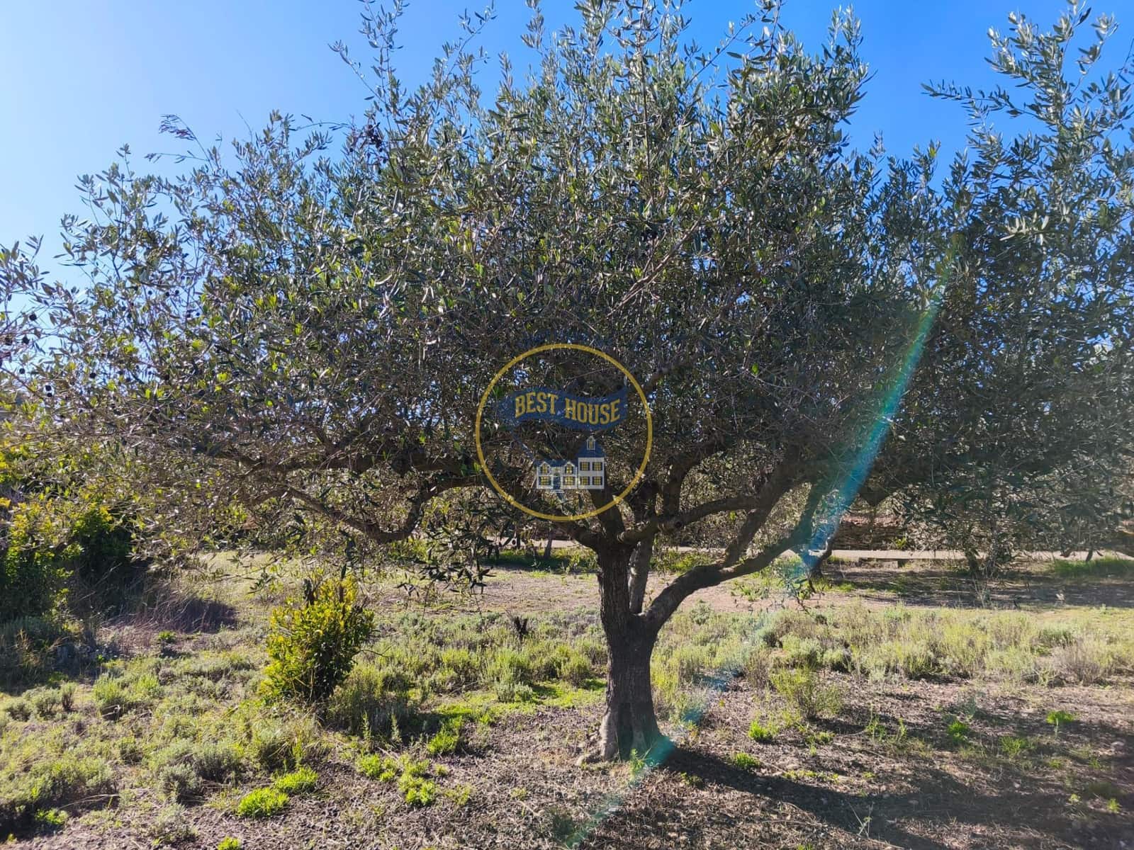 3 bedroom Finca/Country House for sale in Ontinyent - € 60,000 (Ref: 9513577)