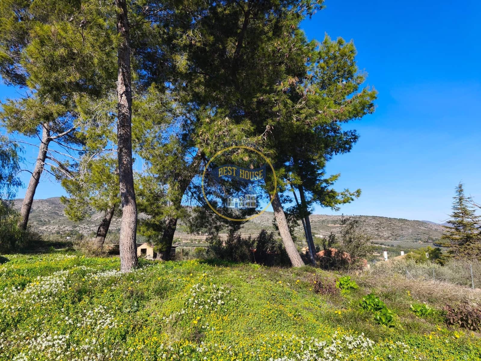 3 bedroom Finca/Country House for sale in Ontinyent - € 60,000 (Ref: 9513577)