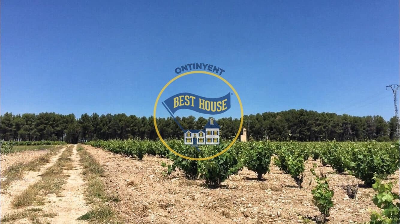 7 bedroom Villa for sale in Fontanars dels Alforins with pool - € 820,000 (Ref: 9533912)