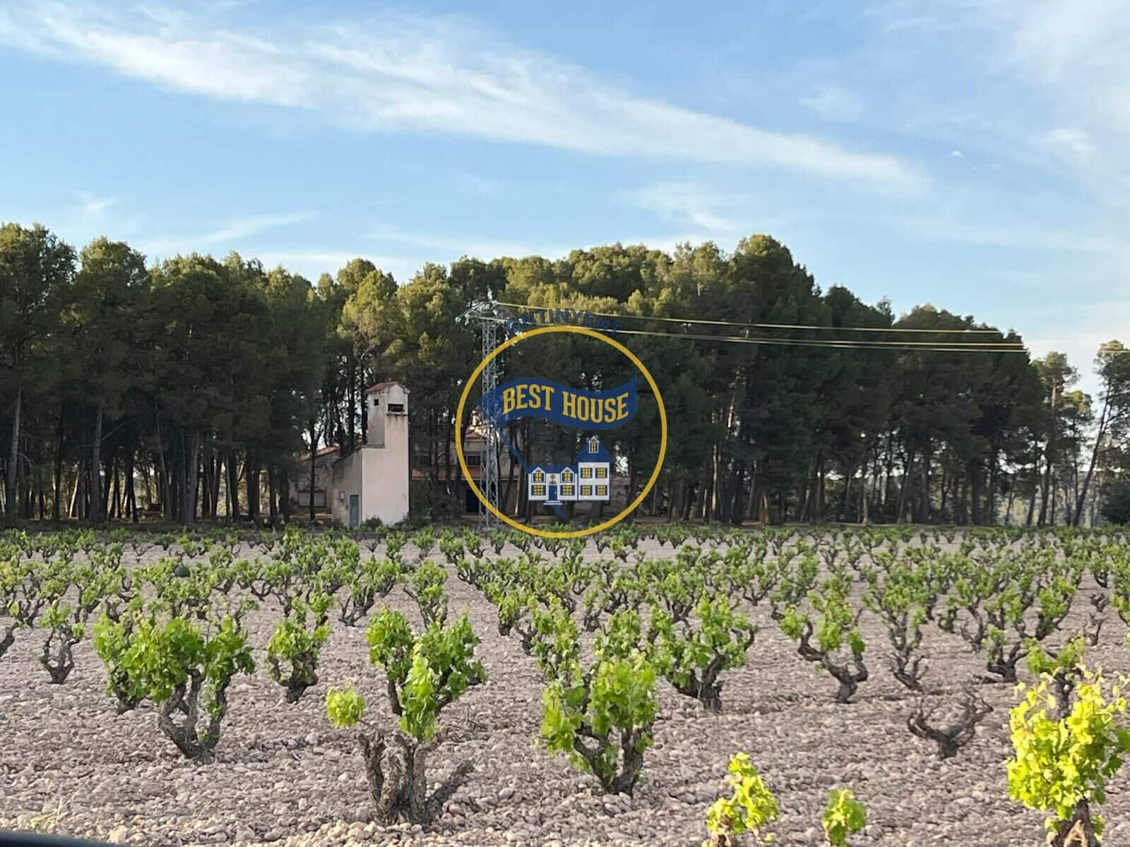 7 bedroom Villa for sale in Fontanars dels Alforins with pool - € 820,000 (Ref: 9533912)