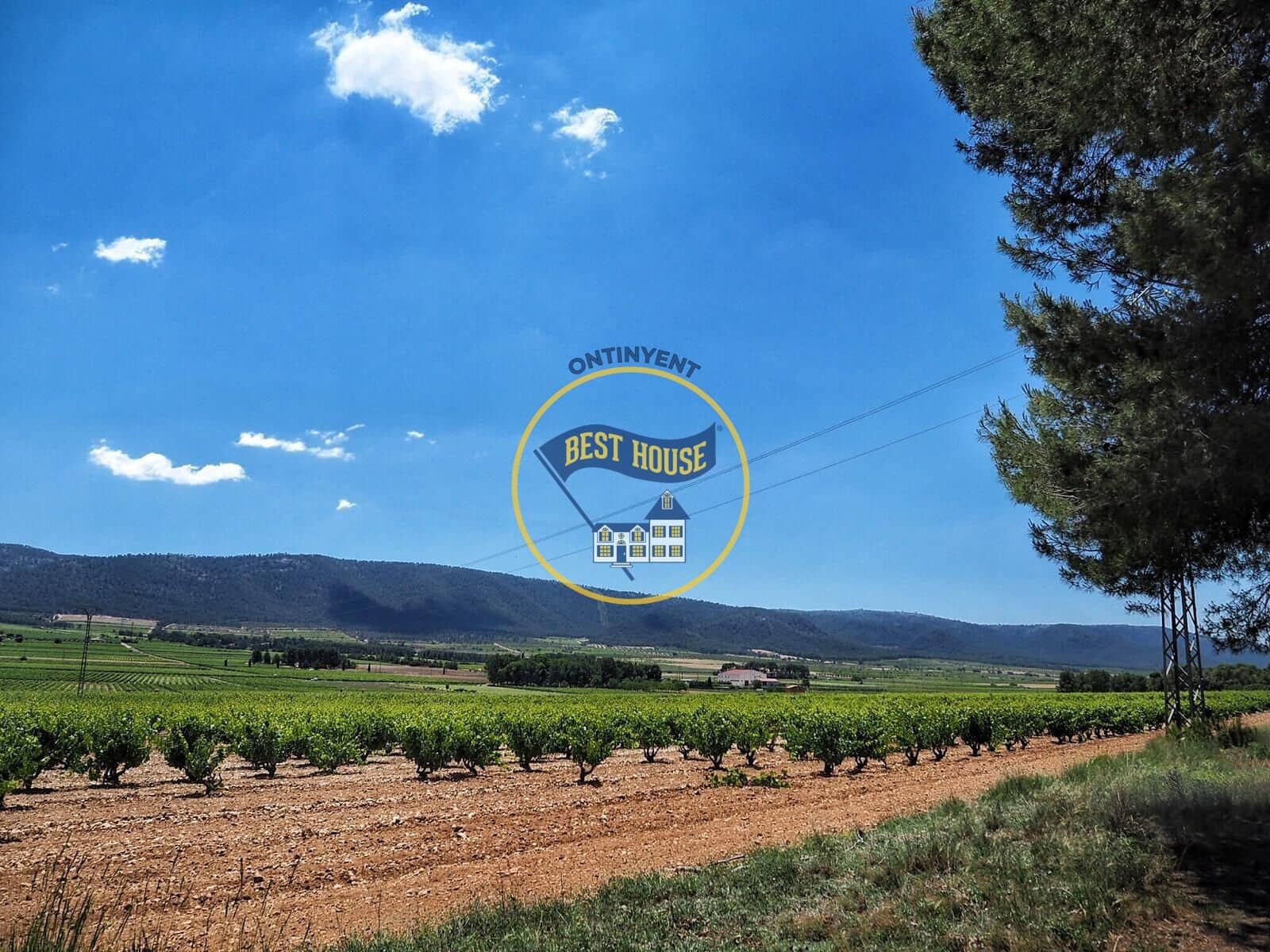 7 bedroom Villa for sale in Fontanars dels Alforins with pool - € 820,000 (Ref: 9533912)