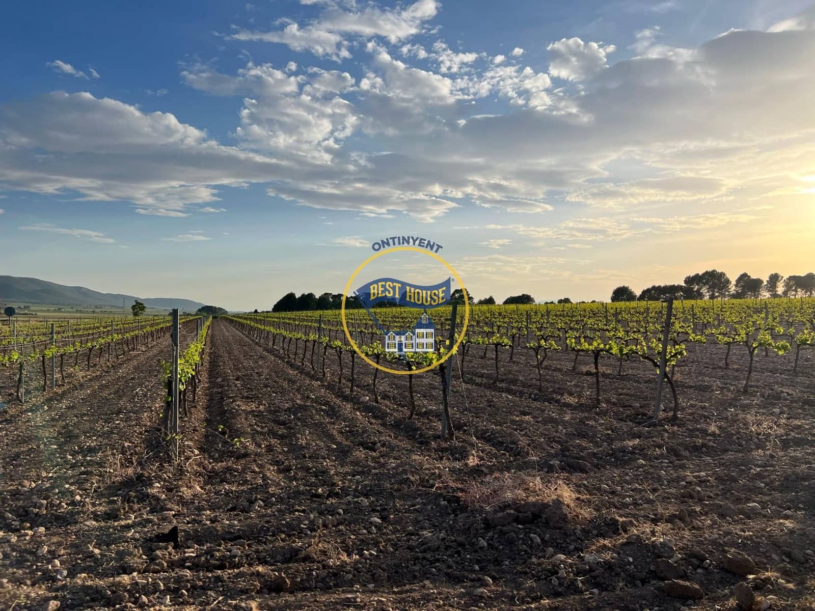 7 bedroom Villa for sale in Fontanars dels Alforins with pool - € 820,000 (Ref: 9533912)