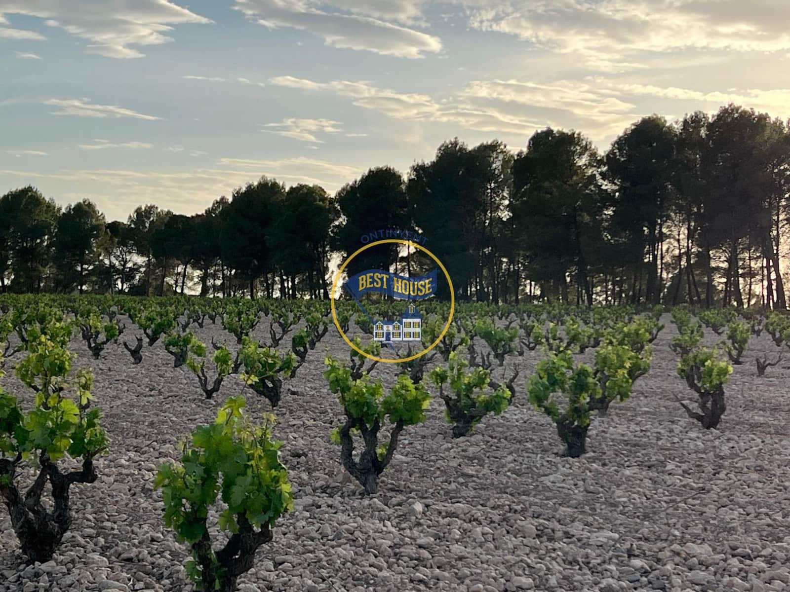 7 bedroom Villa for sale in Fontanars dels Alforins with pool - € 820,000 (Ref: 9533912)