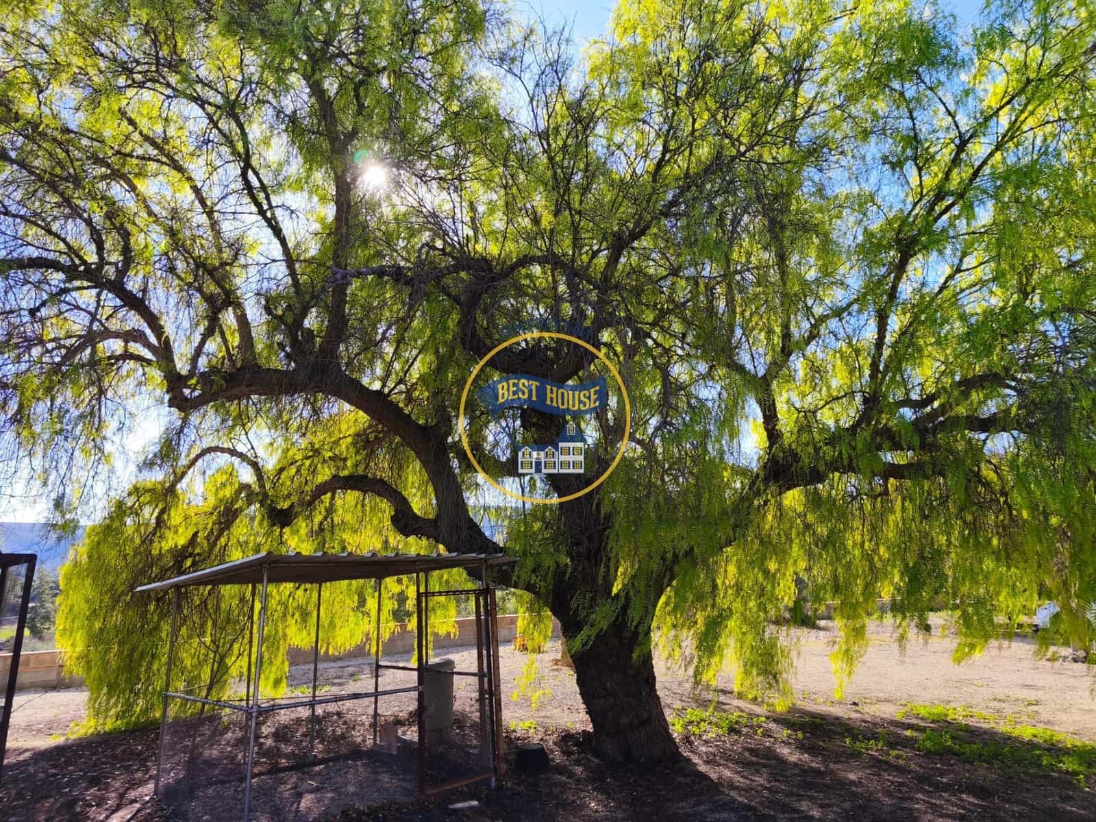 6 makuuhuone Huvila myytävänä paikassa Ontinyent mukana uima-altaan - 750 000 € (Ref: 9536088)