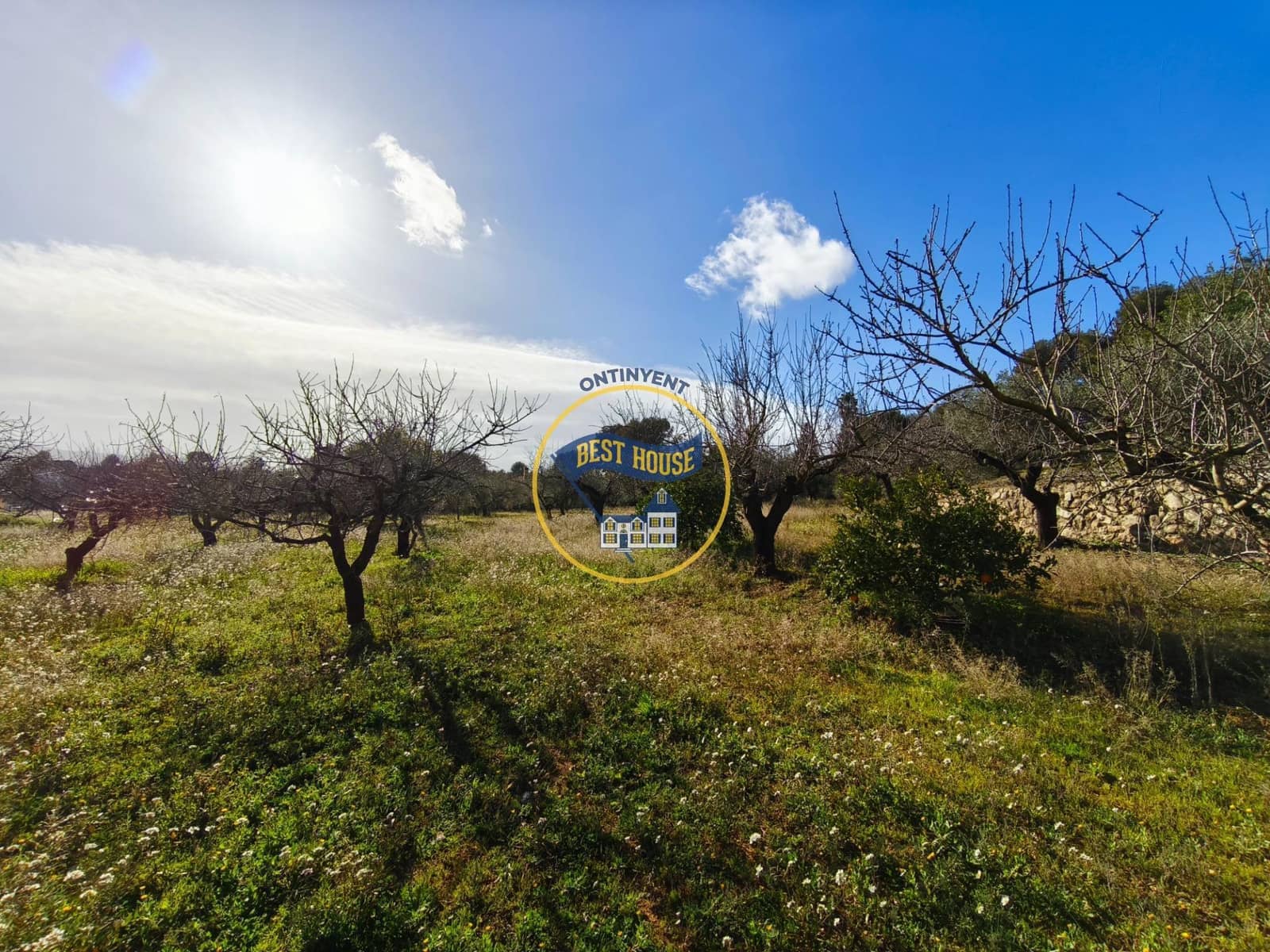 Byggetomt til salgs i Ontinyent - € 45 000 (Ref: 9568999)