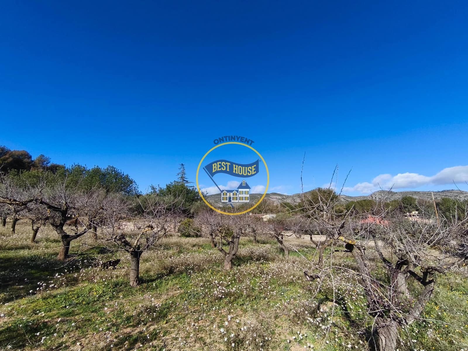 Byggetomt til salgs i Ontinyent - € 45 000 (Ref: 9568999)