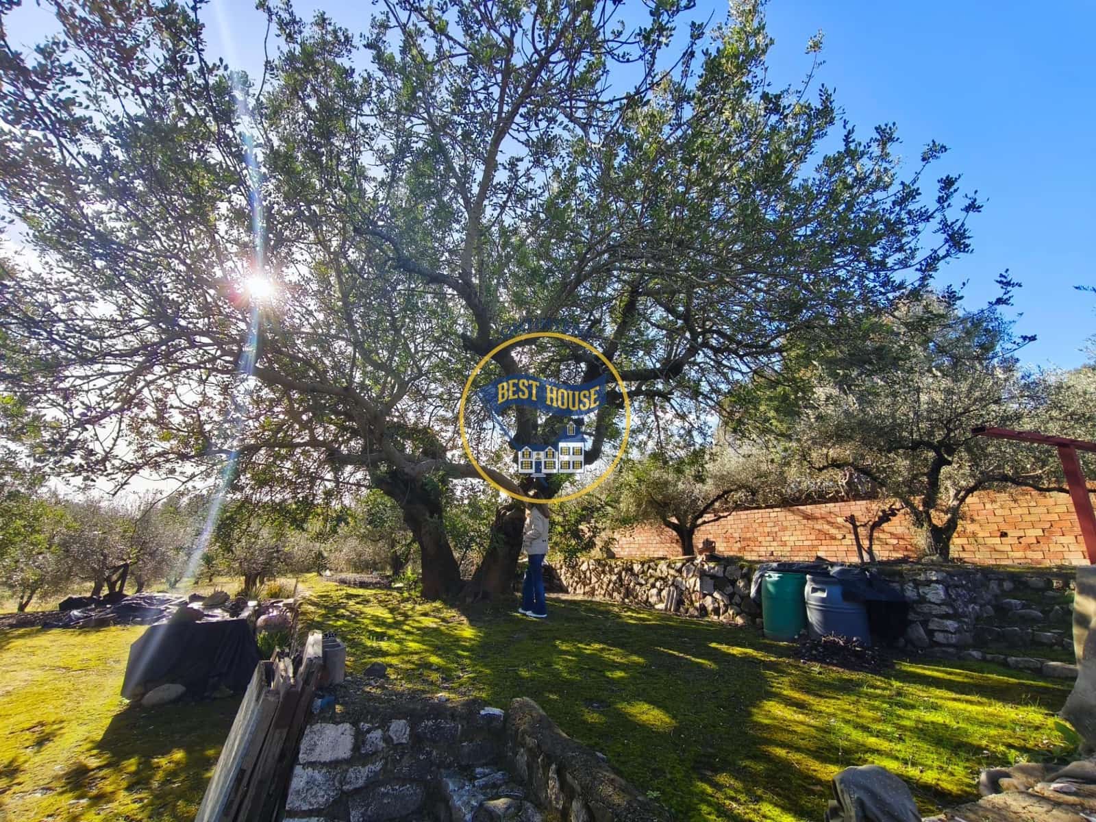 Byggetomt til salgs i Ontinyent - € 45 000 (Ref: 9568999)