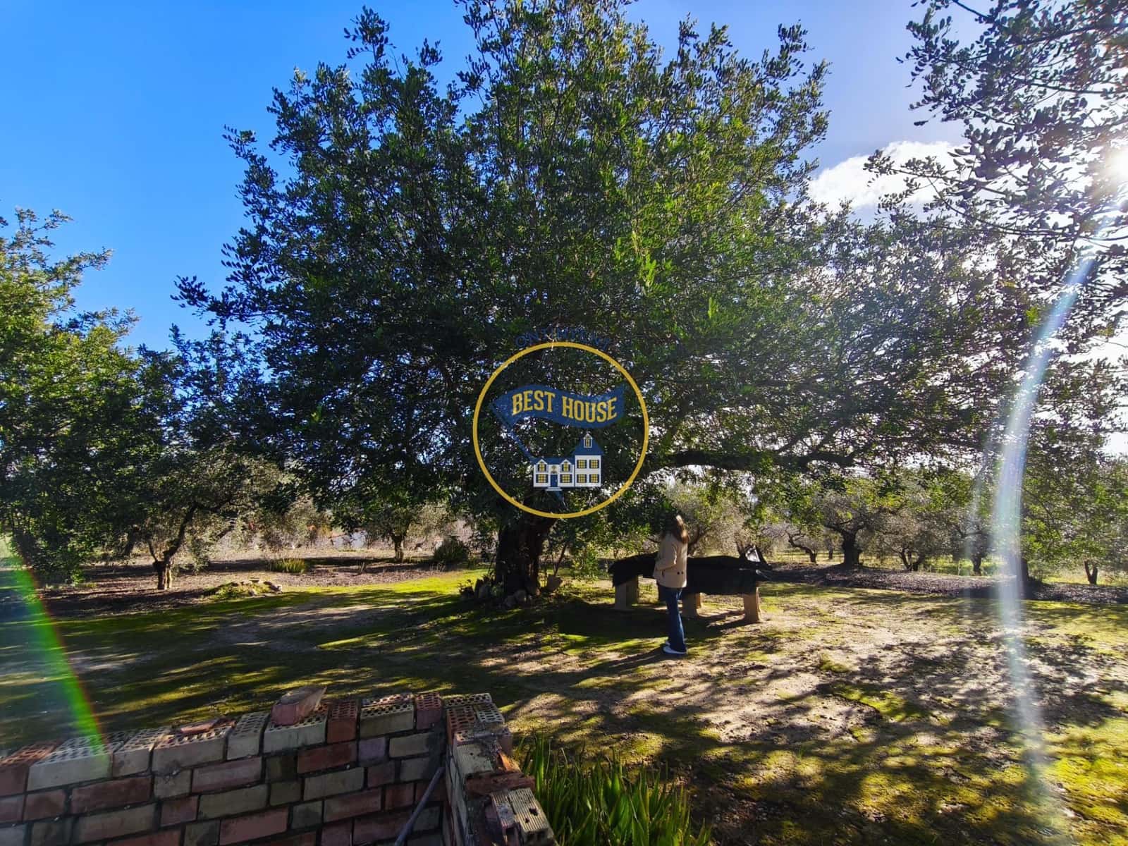 Byggetomt til salgs i Ontinyent - € 45 000 (Ref: 9568999)