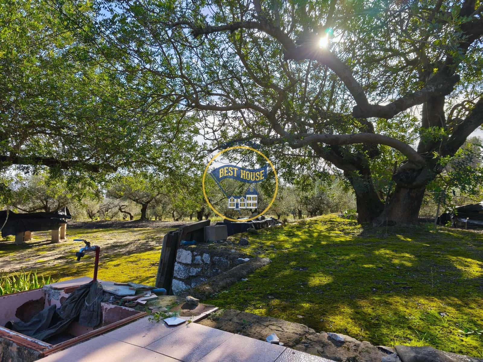 Byggetomt til salgs i Ontinyent - € 45 000 (Ref: 9568999)