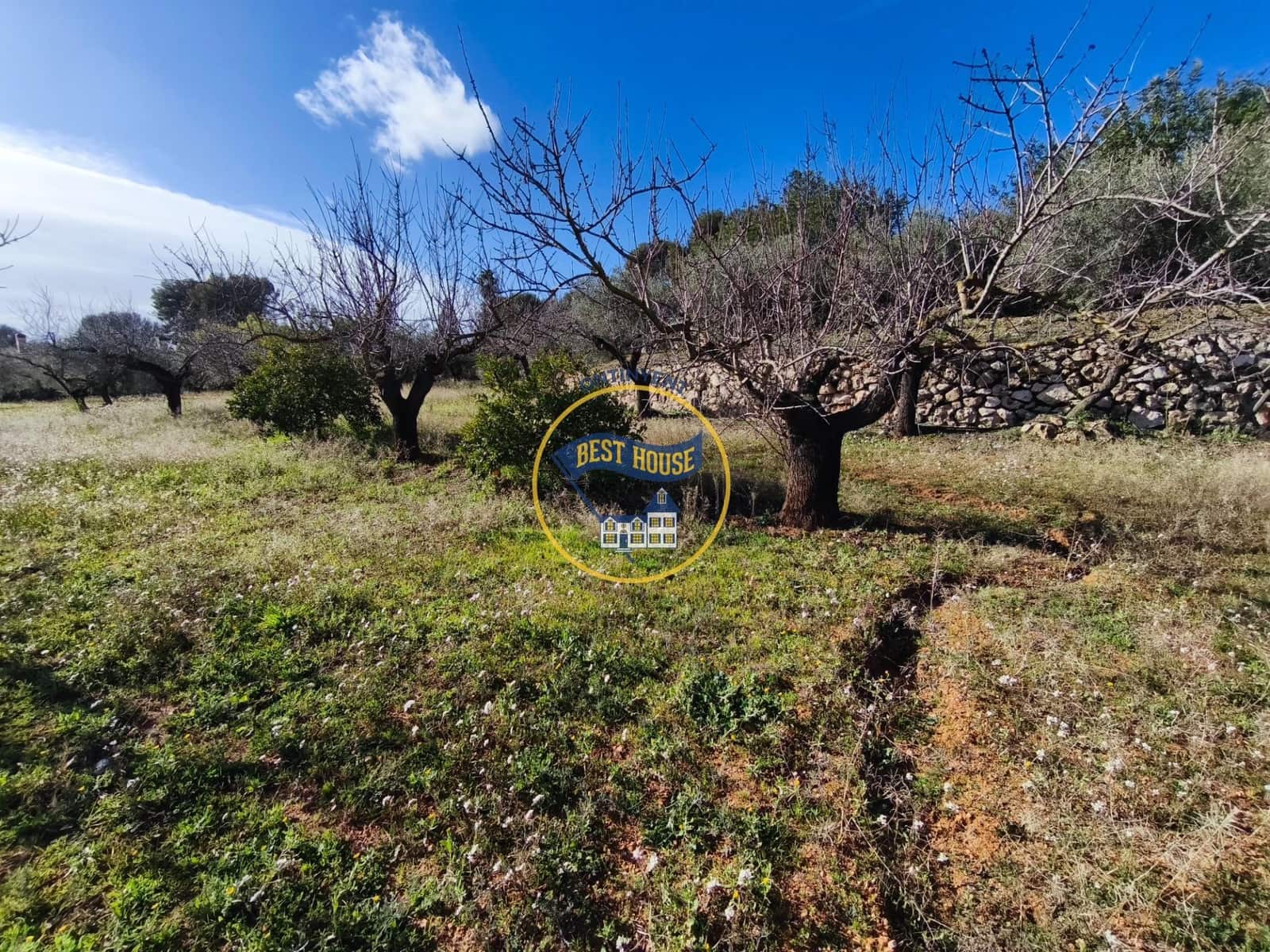 Byggetomt til salgs i Ontinyent - € 45 000 (Ref: 9568999)