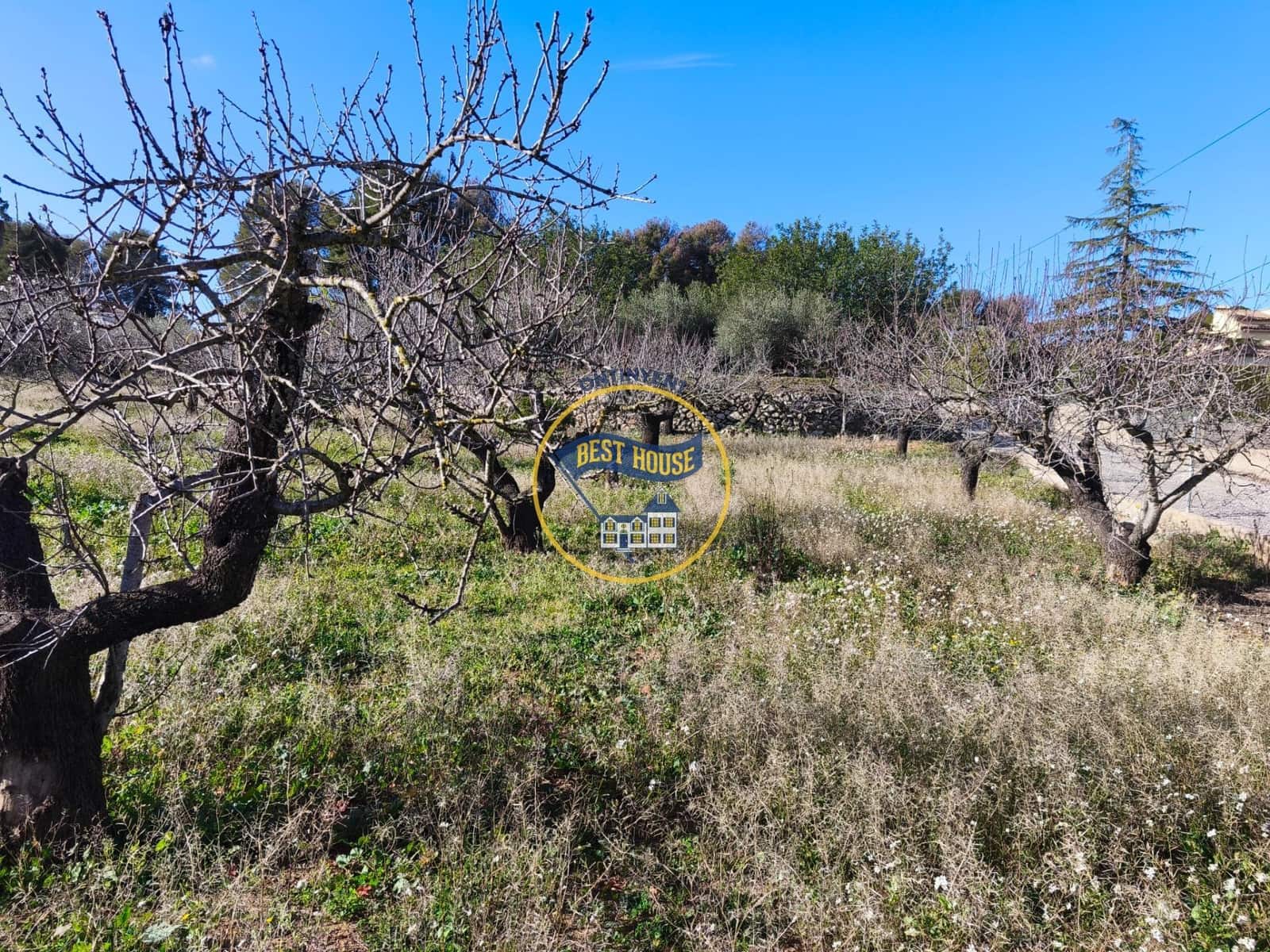 Byggetomt til salgs i Ontinyent - € 45 000 (Ref: 9568999)