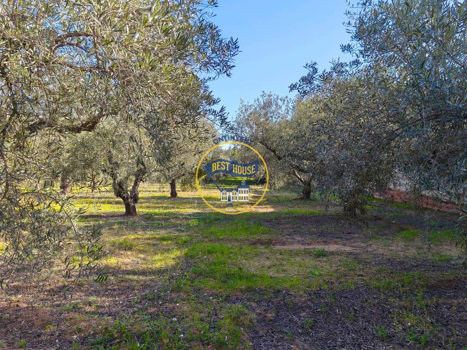 Byggetomt til salgs i Ontinyent - € 45 000 (Ref: 9568999)