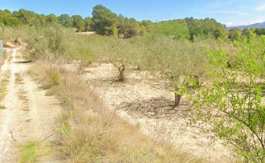 Rakentamaton maa myytävänä paikassa Ontinyent - 20 000 € (Ref: 9627796)