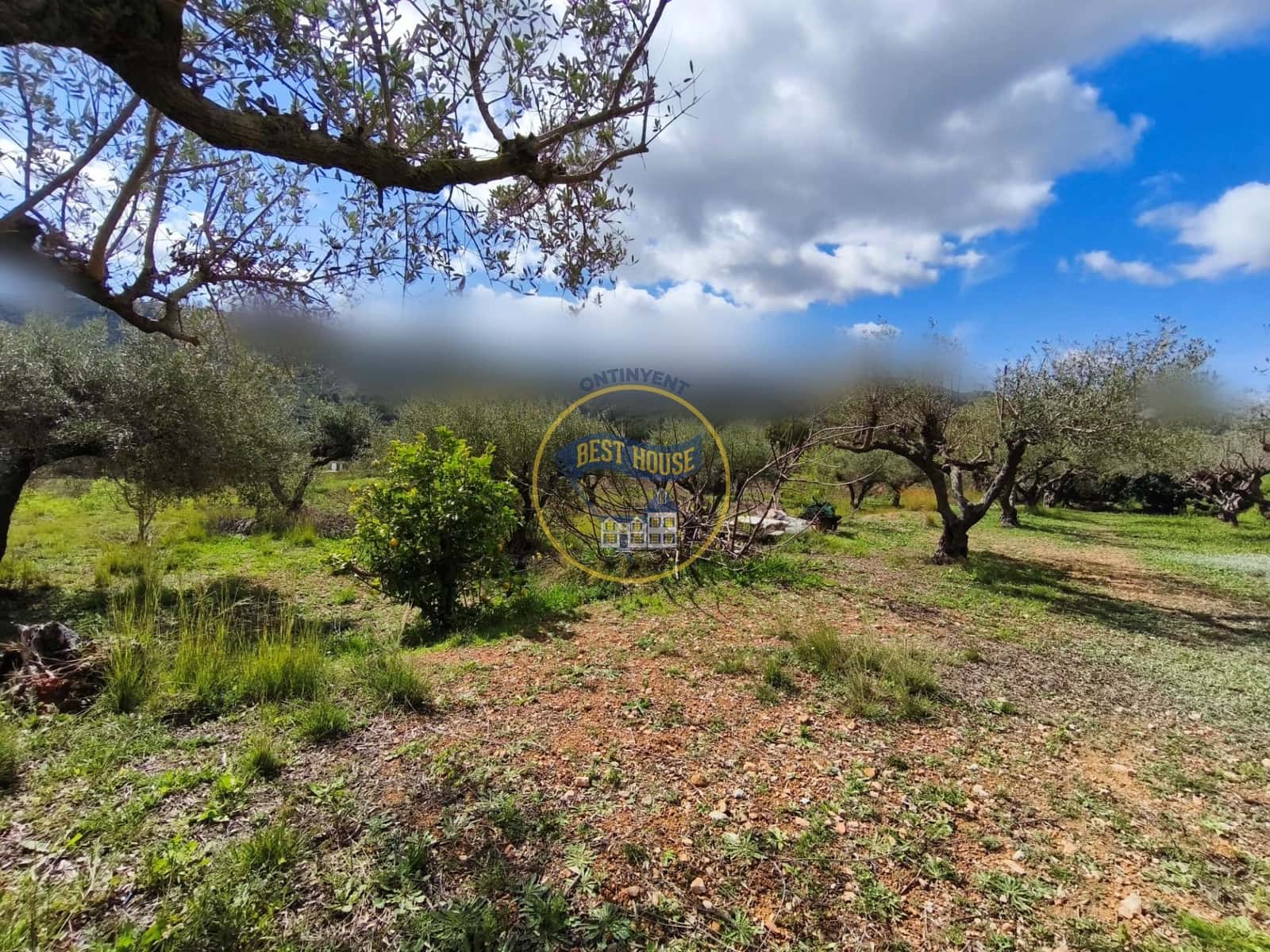 4 bedroom Villa for sale in Aielo de Malferit - € 150,000 (Ref: 9674462)