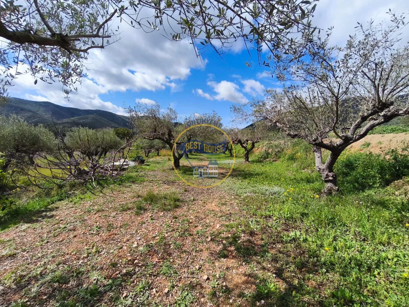 4 bedroom Villa for sale in Aielo de Malferit - € 150,000 (Ref: 9674462)