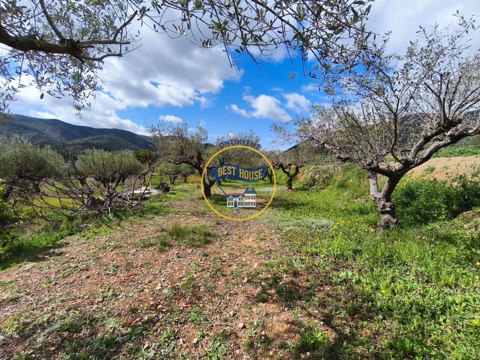 4 bedroom Villa for sale in Aielo de Malferit - € 135,000 (Ref: 9674462)