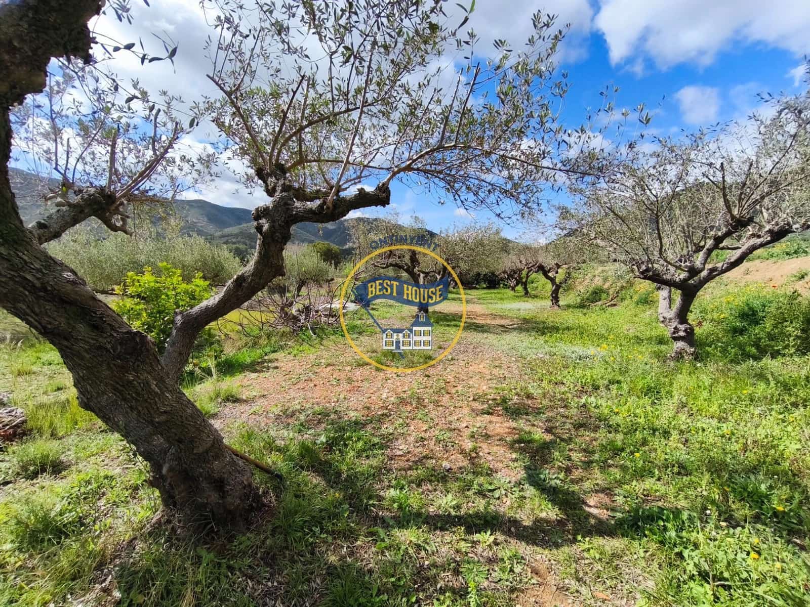 4 bedroom Villa for sale in Aielo de Malferit - € 135,000 (Ref: 9674462)
