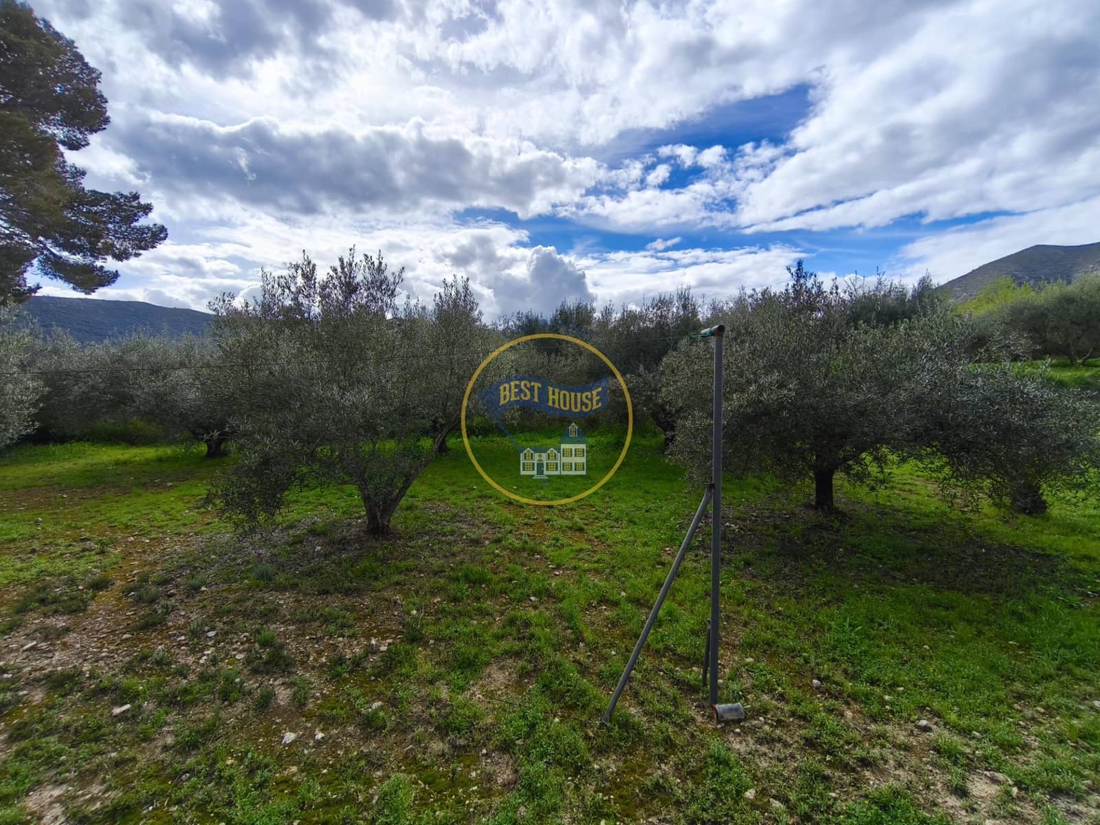 Chalet de 3 habitaciones en Aielo de Malferit en venta - 220.000 € (Ref: 9674463)