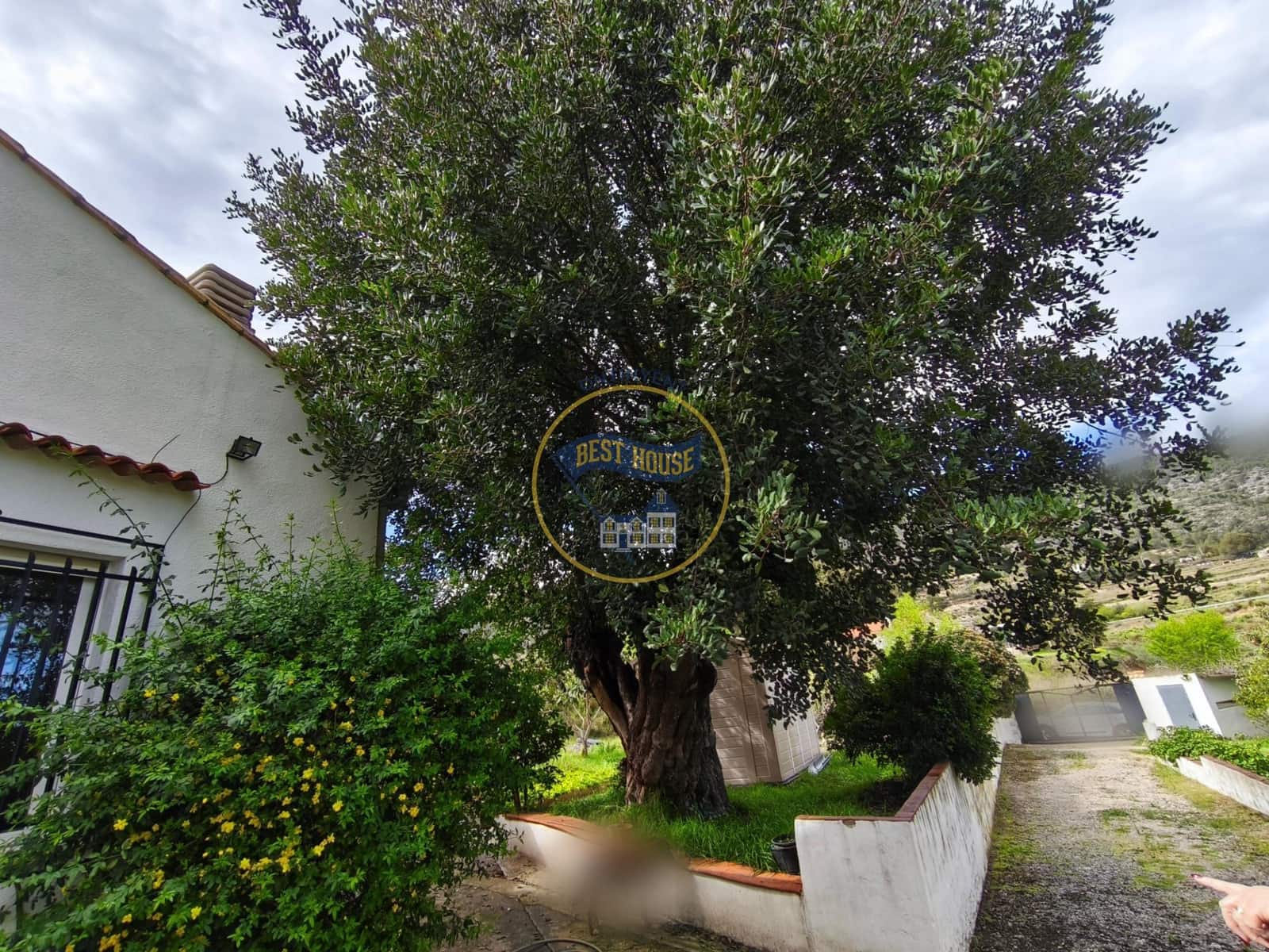 3 bedroom Villa for sale in Aielo de Malferit - € 220,000 (Ref: 9674463)