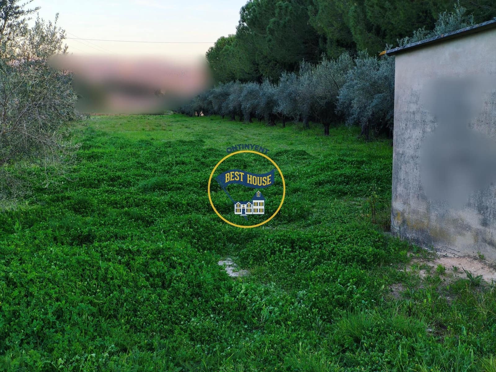 Undeveloped Land for sale in Ontinyent - € 35,000 (Ref: 9748179)