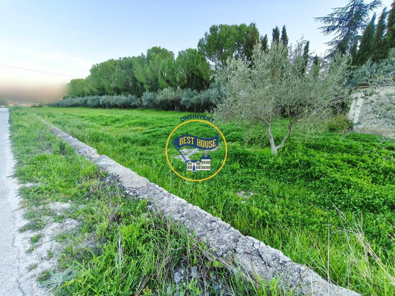 Undeveloped Land for sale in Ontinyent - € 35,000 (Ref: 9748179)