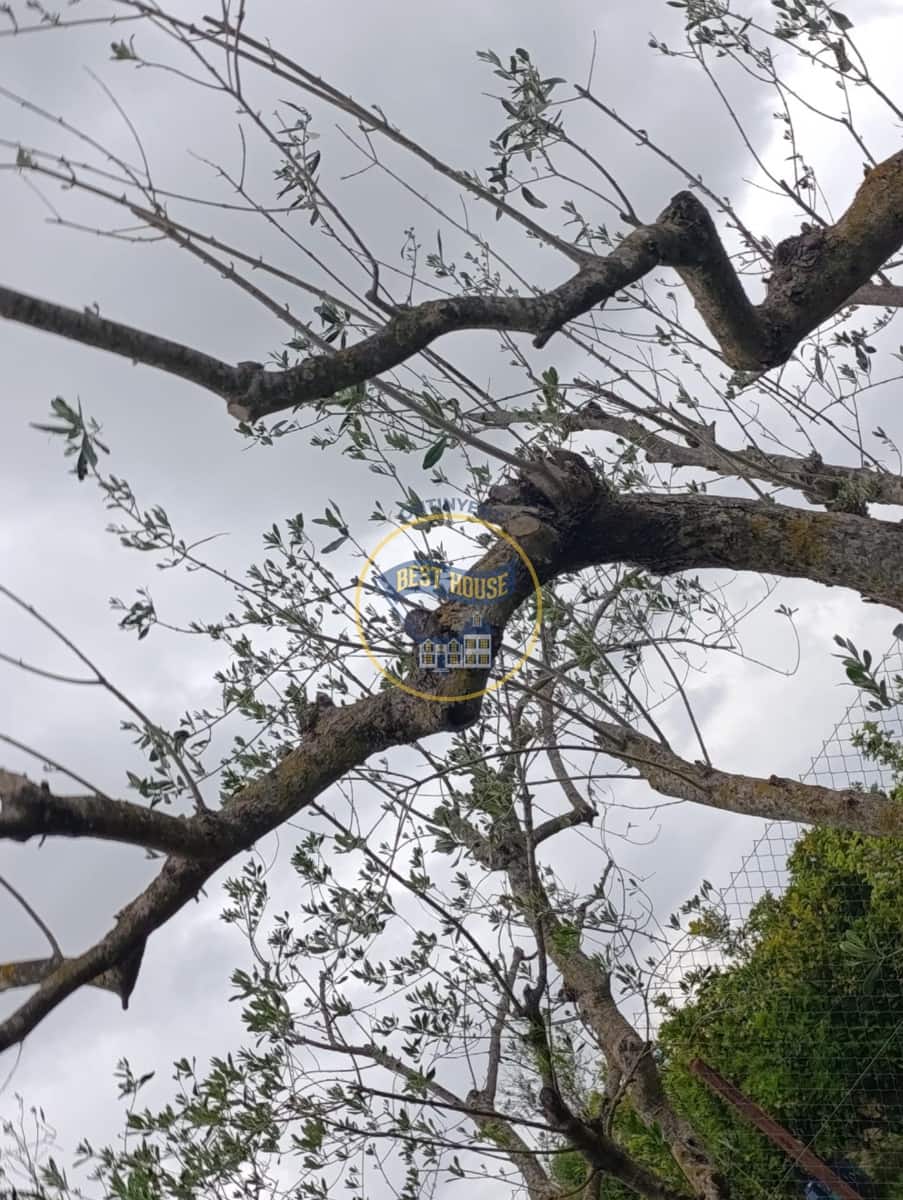 1 sovrum Finca/Hus på landet till salu i Aielo de Malferit - 18 000 € (Ref: 9797314)