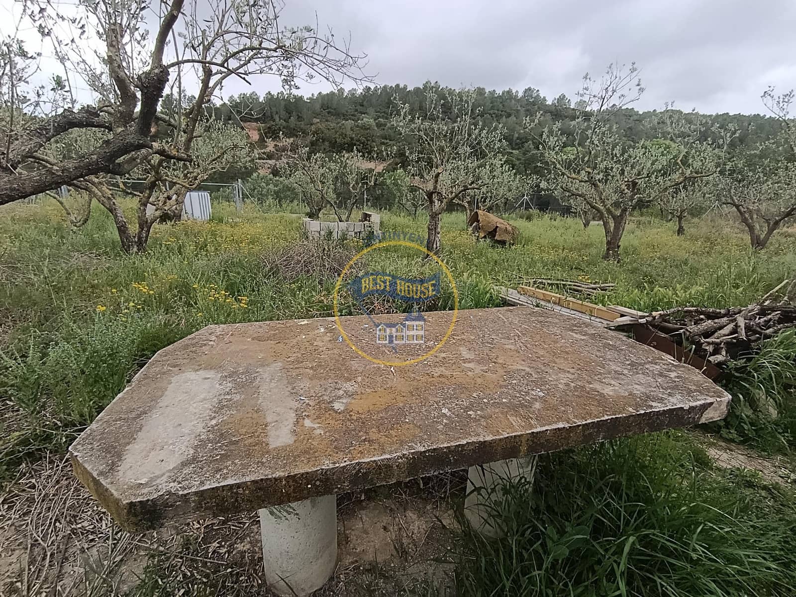 1 sovrum Finca/Hus på landet till salu i Aielo de Malferit - 18 000 € (Ref: 9797314)