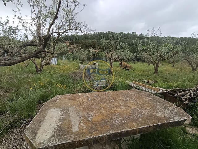 1 sovrum Finca/Hus på landet till salu i Aielo de Malferit - 18 000 € (Ref: 9797314)