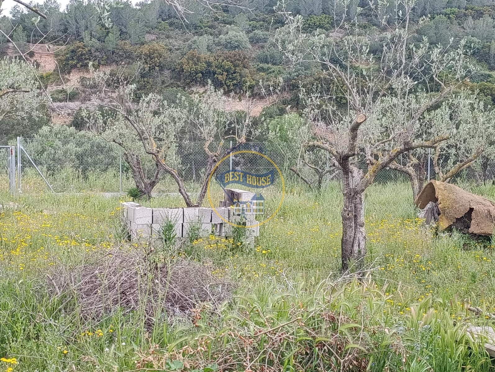 1 sovrum Finca/Hus på landet till salu i Aielo de Malferit - 18 000 € (Ref: 9797314)